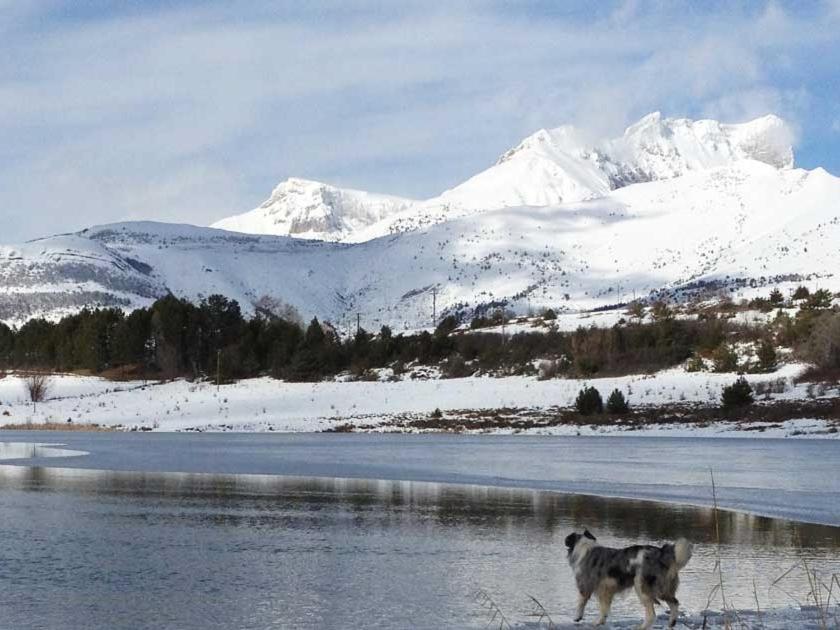 Gite Basse Correo La Freissinouse Екстер'єр фото